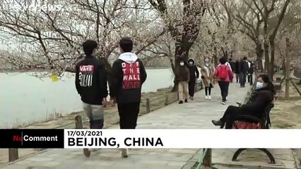 شاهد: حدائق بكين تعج بالزوار مع اقتراب موسم الربيع