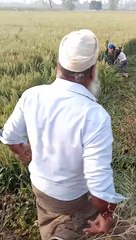 युवक की पिटाई का वीडियो वायरल, पीड़ित युवक ने पुलिस से न्याय की गुहार लगाई