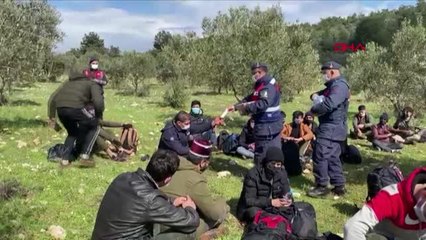 İZMİR Urla'da arazide mahsur kalan 204 kaçak göçmen kurtarıldı