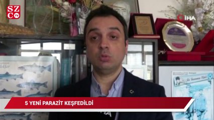 Türk akademisyenler 5 yeni parazit keşfetti