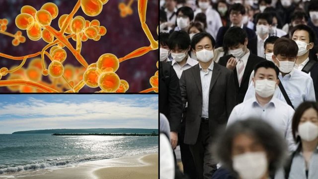 Candida Auris : Scientists Discover 'Superbug' On Andaman Islands || Oneindia Telugu