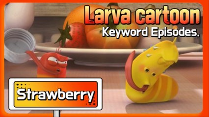 KEYWORD CARTOON | Strawberry | Larva Official Channel | Best animation | part.1