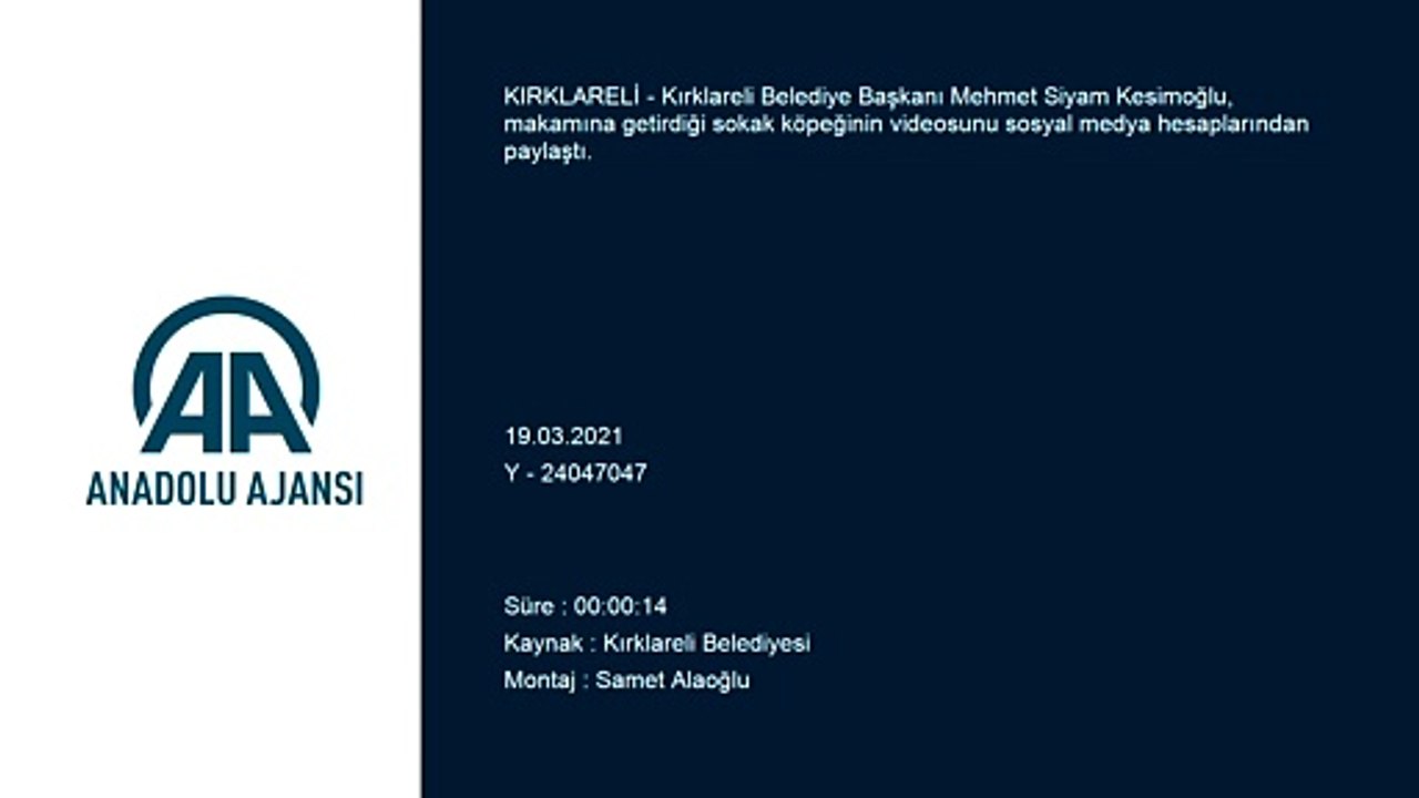 KIRKLARELİ - Belediye Başkanı Kesimoğlu'nun makamına aldığı sokak köpeğinin videosu beğeni topladı