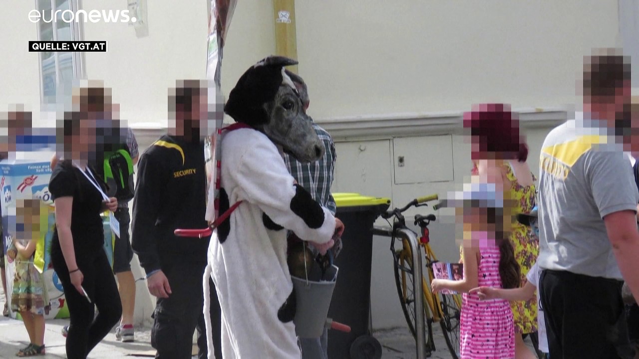 Kuhmaske verstößt nicht gegen Verhüllungsverbot