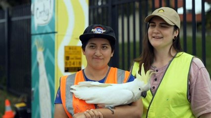 Transforming city streets into colourful public galleries