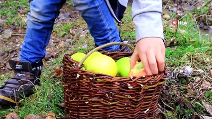 Minik öğrenciler elmalarla kuşlara hayat verdi