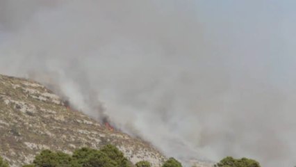 Un incendo arrasa más de 3.500 hectáreas en México