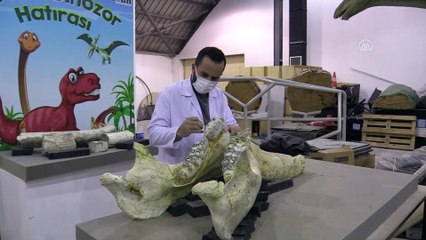 KAYSERİ - 8 milyon yıl önce 5 farklı fil türü bir arada yaşamış