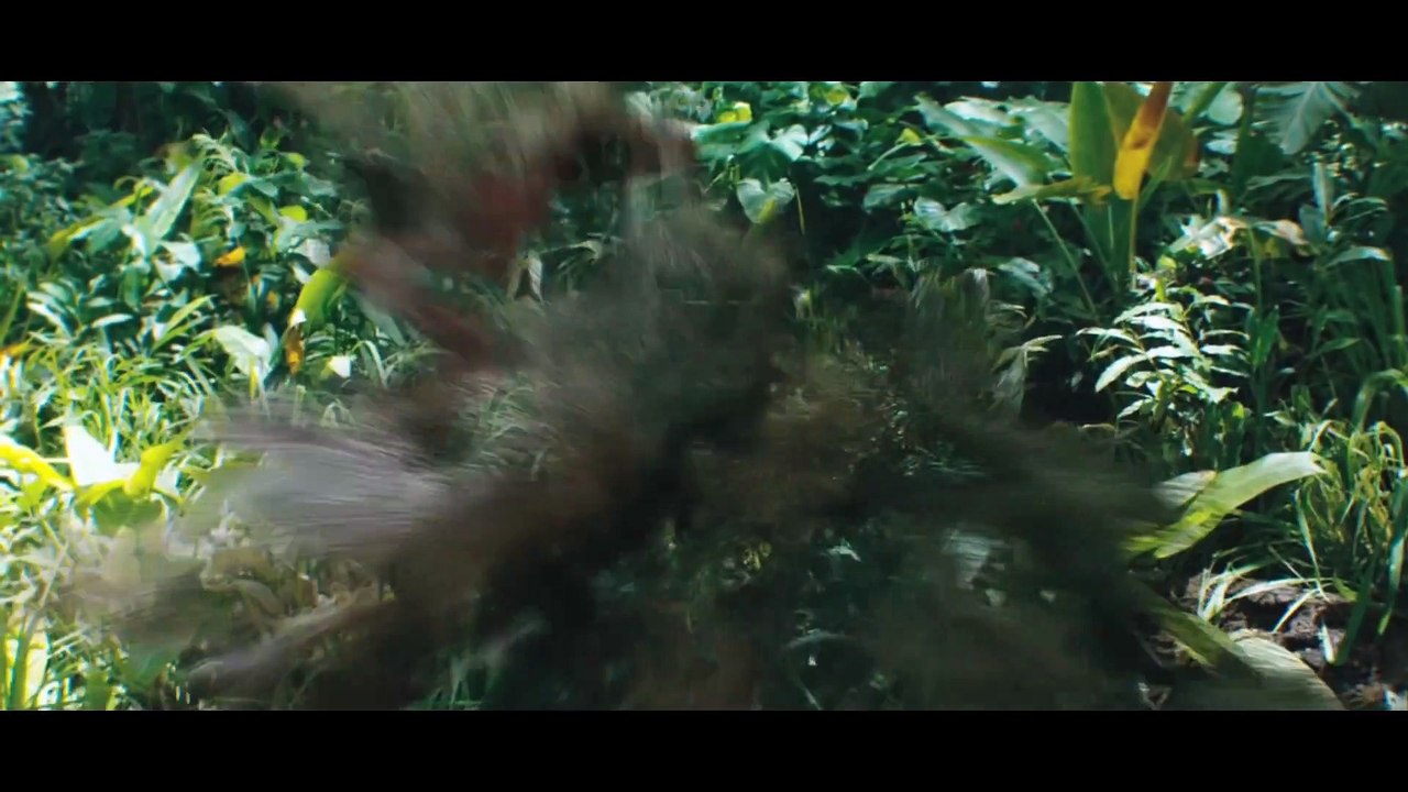 JUMANJI WILLKOMMEN IM DSCHUNGEL Film Vorschau