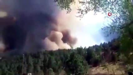 - Meksika’da devam eden orman yangınları 7 bin hektarlık alanı küle çevirdi