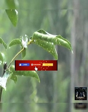 MLB - Fake Throws Fake out - Podeis pasaros por mi canal Principal de Videojueg...