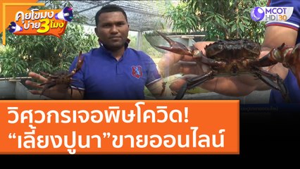 วิศวกรเจอพิษโควิด! “เลี้ยงปูนา” ขายออนไลน์ (19 มี.ค. 64) คุยโขมงบ่าย 3 โมง