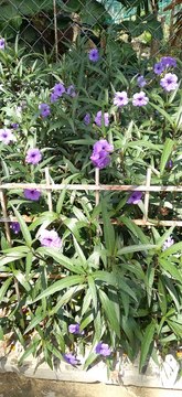 Nature lover? Thats right