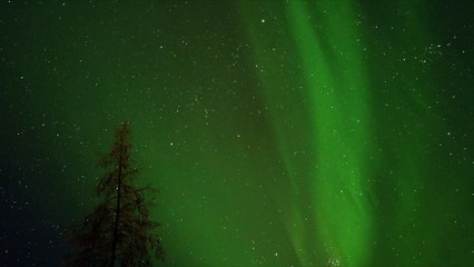 Aurora Borealis Dances Across the Night Sky