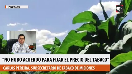 “NO HUBO ACUERDO PARA FIJAR EL PRECIO DEL TABACO”