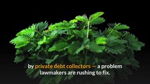 Debt collectors can seize the new stimulus checks Lawmakers are trying _ OnTrending News