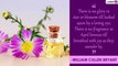 International Fragrance Day 2021 Quotes & Images: 7 Sayings That Capture the Magic of Fragrance