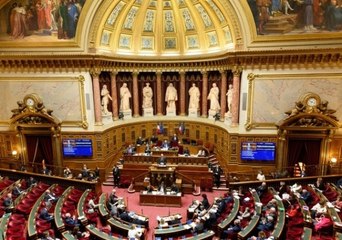 Sécurité globale : le Sénat adopte l'article 24 et le délit de “provocation à l'identification” des policiers