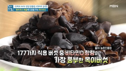177가지 식용버섯 중 1위! 혈액 독소 배출 왕 '목이버섯'