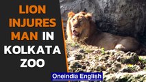 Kolkata zoo: Lion badly injures man who entered cage | Oneindia News