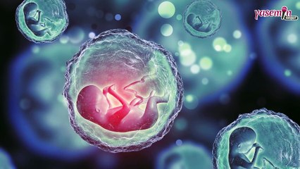Evli çiftlerde korunma yöntemi nedir?  Kaç çeşit korunma vardır?