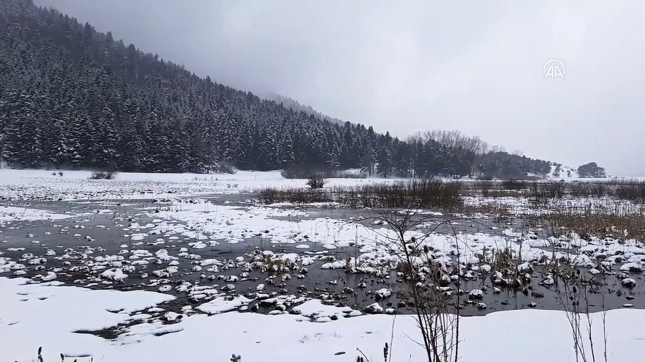 BOLU - Bolu'nun yüksek kesimlerinde kar yağışı etkili oluyor