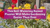 This Self-Watering Raised Planter Will Make Gardening Easier Than Ever