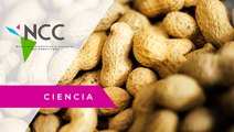 ¿Por qué dan náuseas después de comer cacahuates?