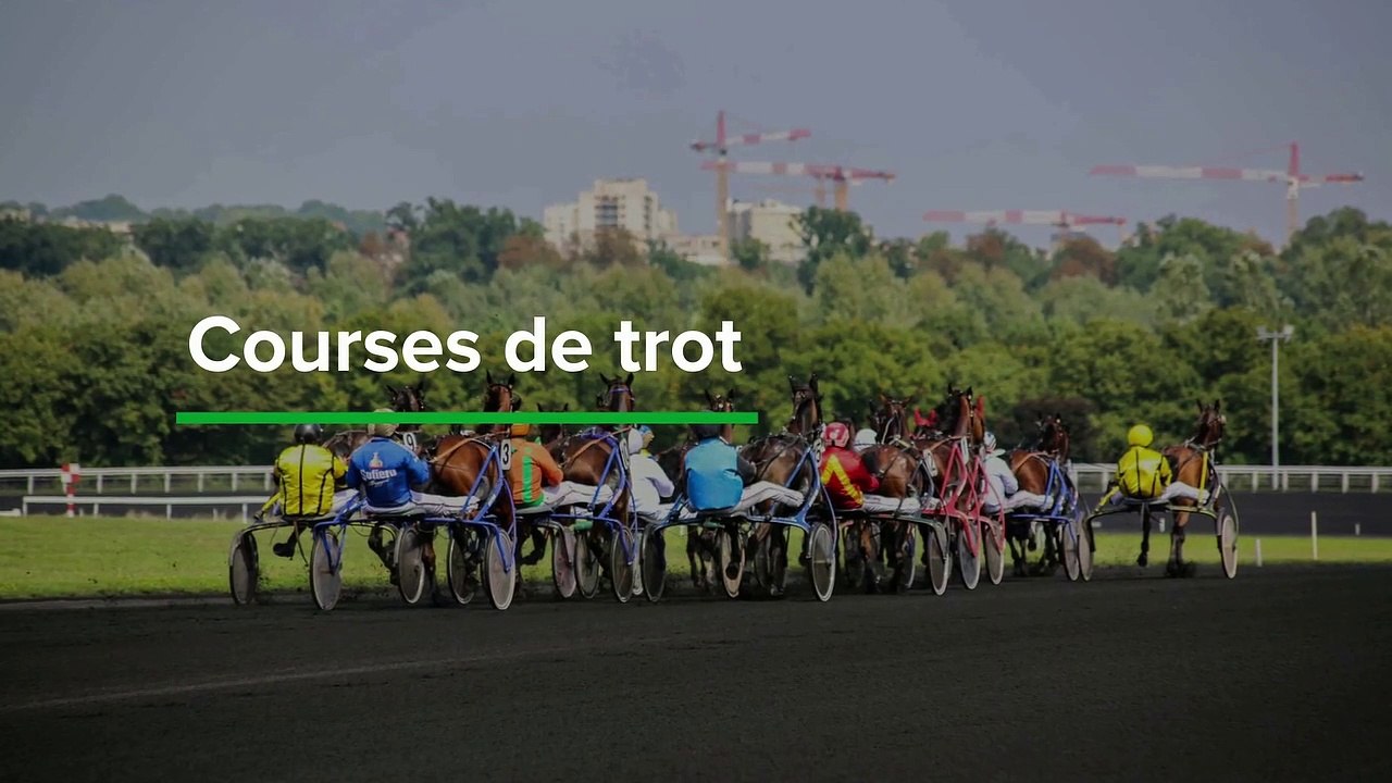 Top 3 courses de trot