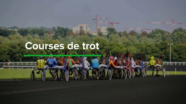 Top 3 courses de trot