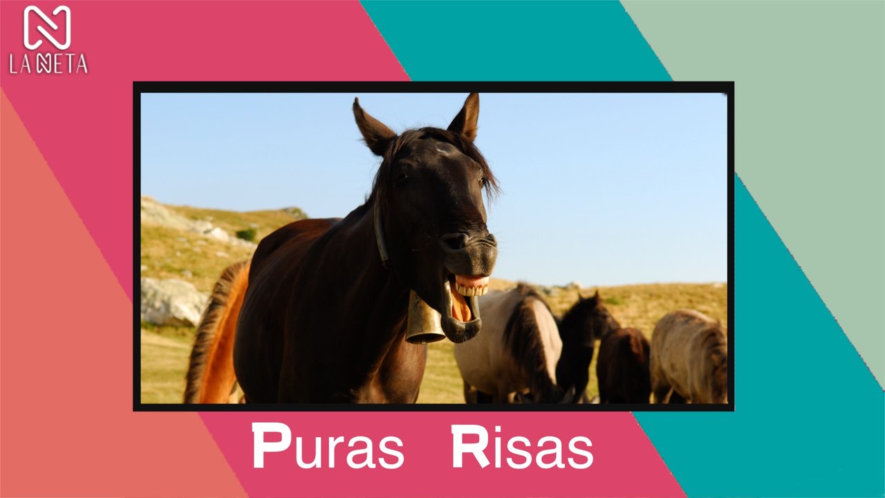 NUEVOS VIDEOS PARA REIR EN KWAI Marzo 2021 ¡RECOMENDADO!