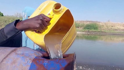 على الحدود مع اثيوبيا مزارعون سودانيون يأملون في استعادة أرضهم الخصبة