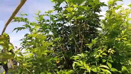 GANDA NG LUGAR NA ITO