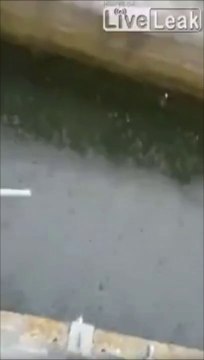 Quand des supporters de foot italiens s'ennuient... ils pêchent dans les tribunes