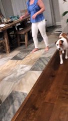 Daughter Trying to Kick Cushions off Counter Fails