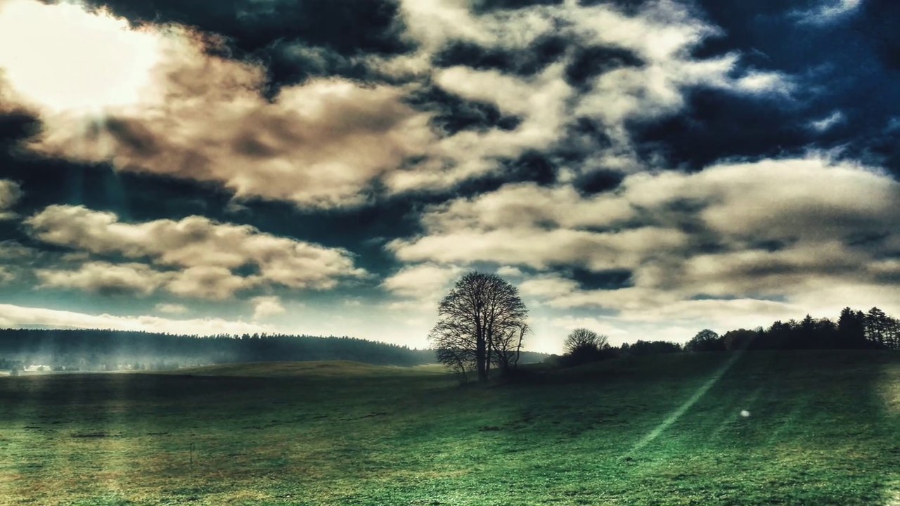 "Le temps a laissé son manteau" (POLNAREFF) - Cover Vincent Prudhon