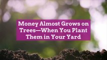 Money Almost Grows on Trees—When You Plant Them in Your Yard