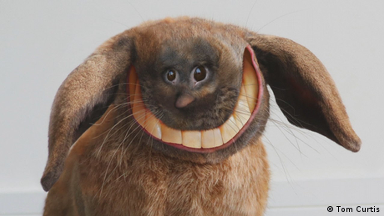 Wenn Kinderzeichnungen wahr werden