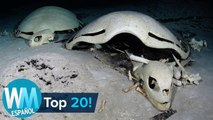 ¡Top 20 Cosas Más ESPELUZNANTES Encontradas en el Océano!