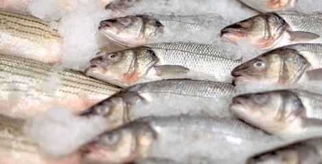 How to Tell If Your Seafood Is Sustainable