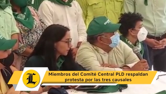 Miembros del Comité Central PLD respaldan protesta por las tres causales