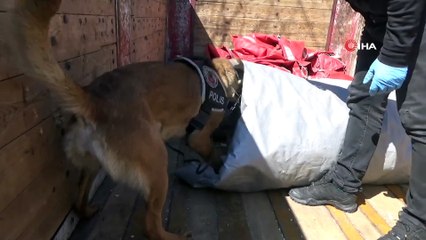 Konya'da tırın çadırında 32 kilo 450 gram esrar ele geçirildi