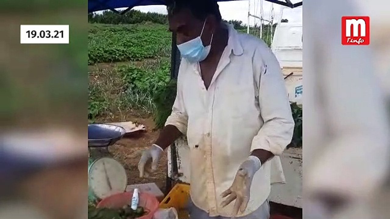 Planteur de la Zone Rouge : « La loi nous interdit de franchir la zone rouge pour faire nos livraisons »