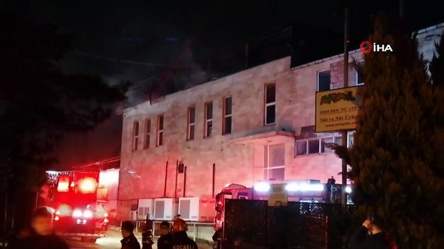 Süt fabrikası alevlere teslim oldu, 200 tane güvercin telef oldu