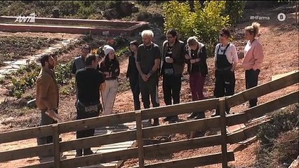 Η Φάρμα: Χαμός με τη σκάλα