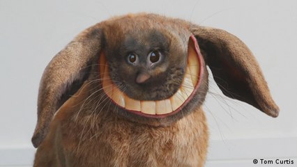 When children’s drawings come to life