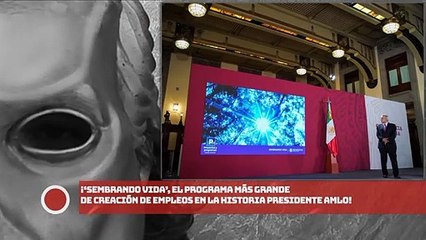‘Sembrando Vida’, el programa más grande de creación de empleos en la historia presidente AMLO