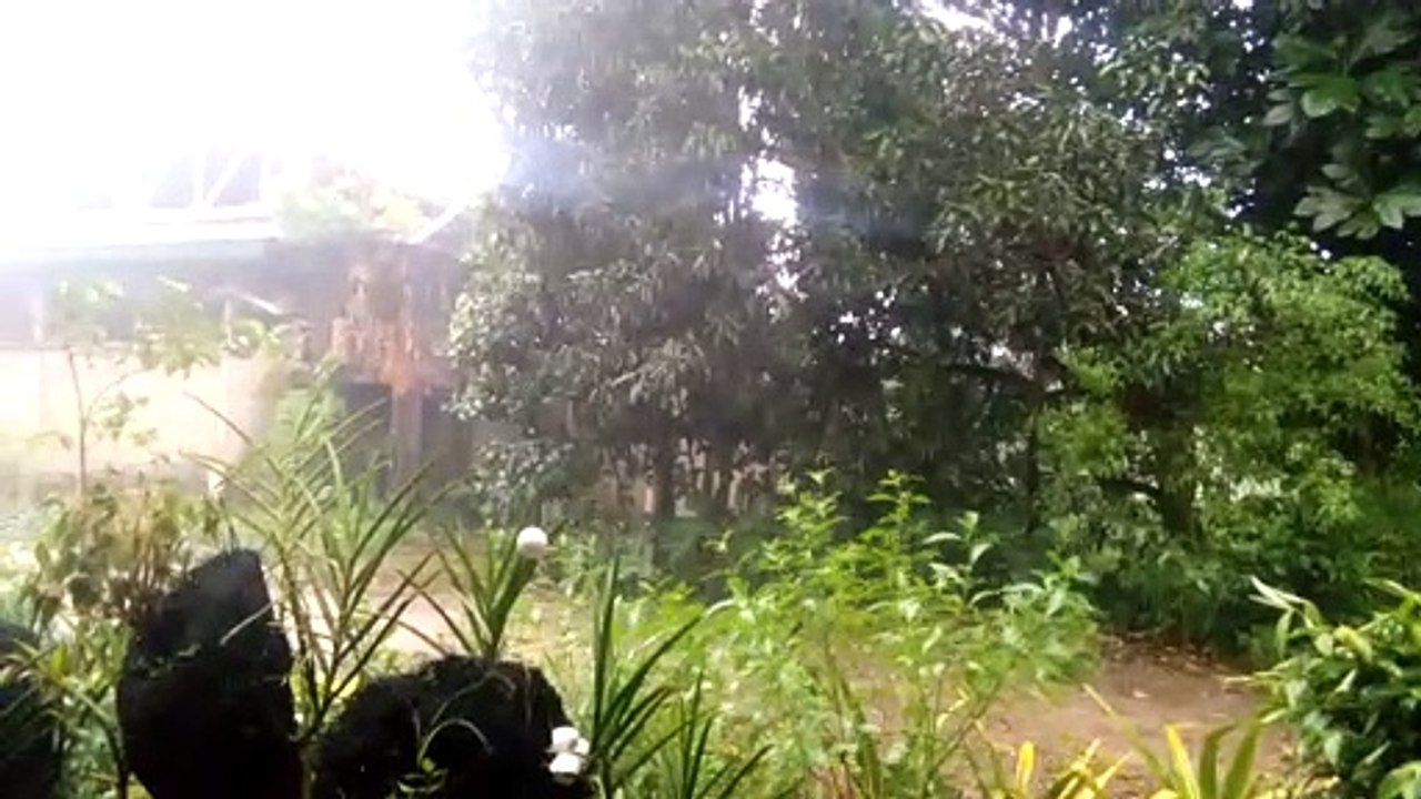 Ulan na naman