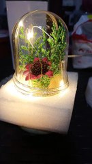 the best gift mga idol