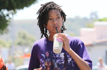 Willow Smith reportedly files for restraining order against alleged stalker